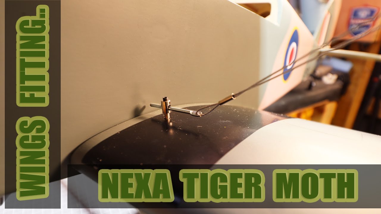 Nexa Tiger Moth Wings installation