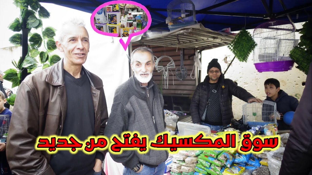 سوق القليعة (المكسيك) طيور الزينة | عودة الحركة