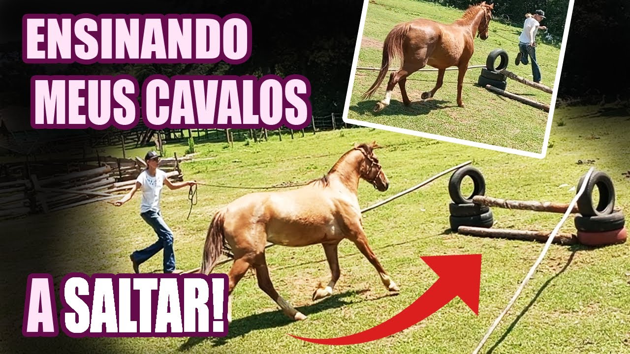 ENSINANDO OS CAVALOS A SALTAR! - daily vlog