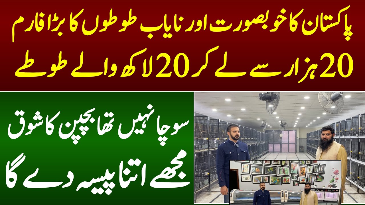 Biggest Parrot Farm In Pakistan with Unbelievable business 2023