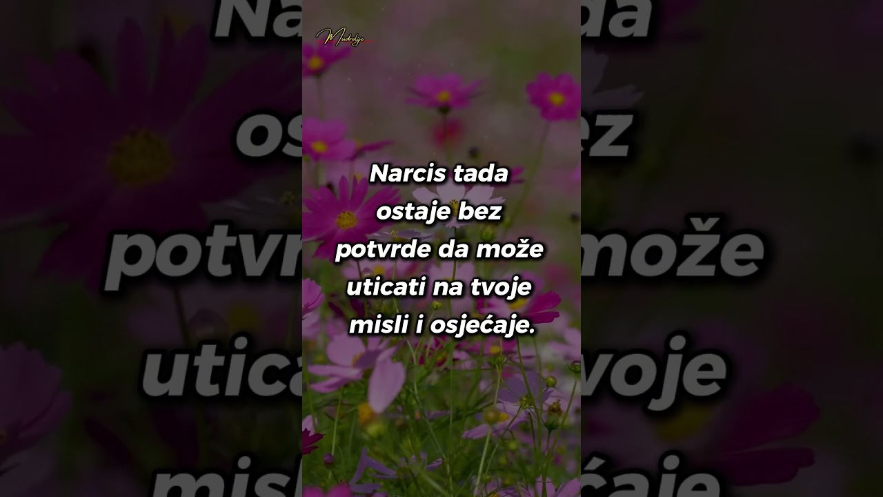 Moć ti&scaron;ine - Koje se Narcisi Boje Najvi&scaron;e! #shorts