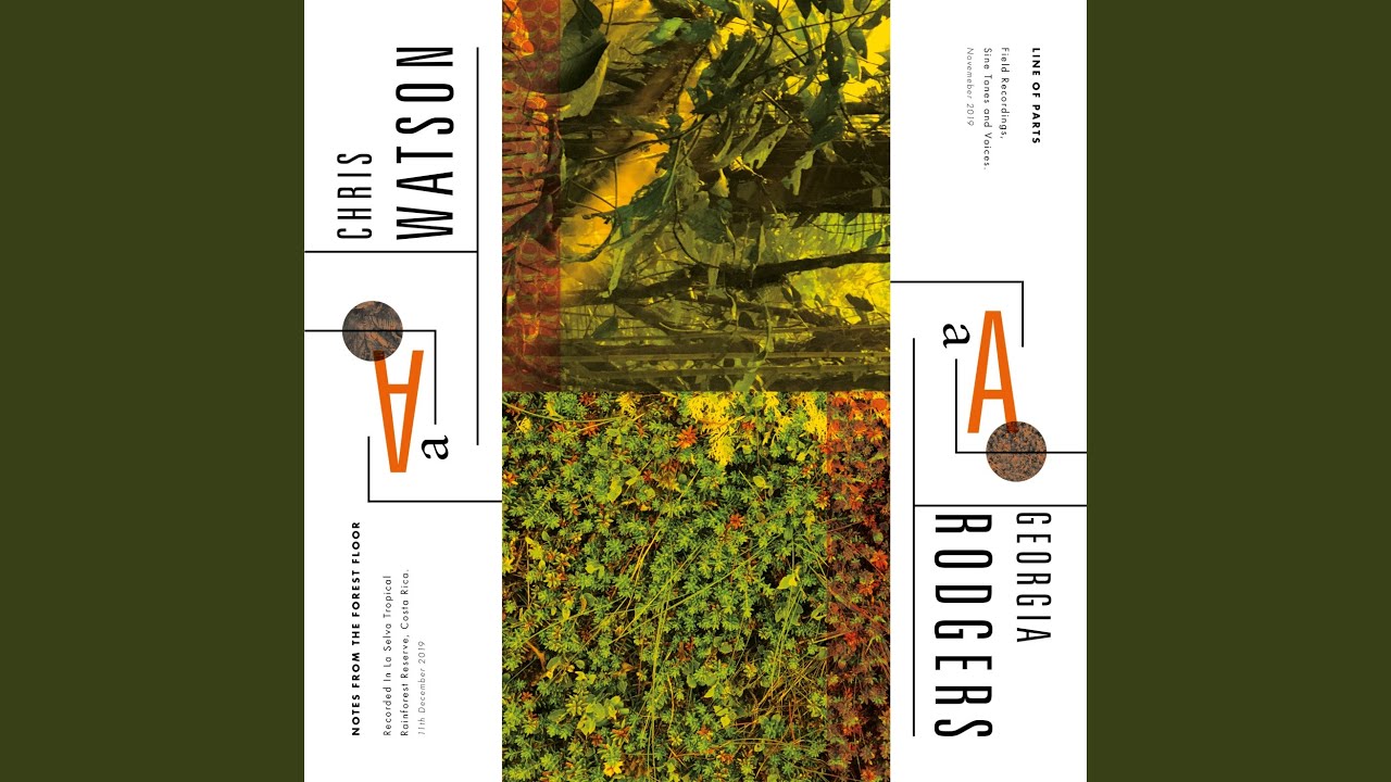 Notes From The Forest Floor