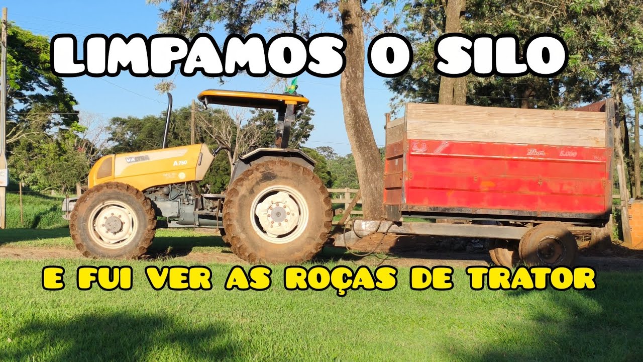 LIMPAMOS O SILO LEVEI A CARGA LA NA ROÇA E RESOLVI OLHAR OS MILHOS
