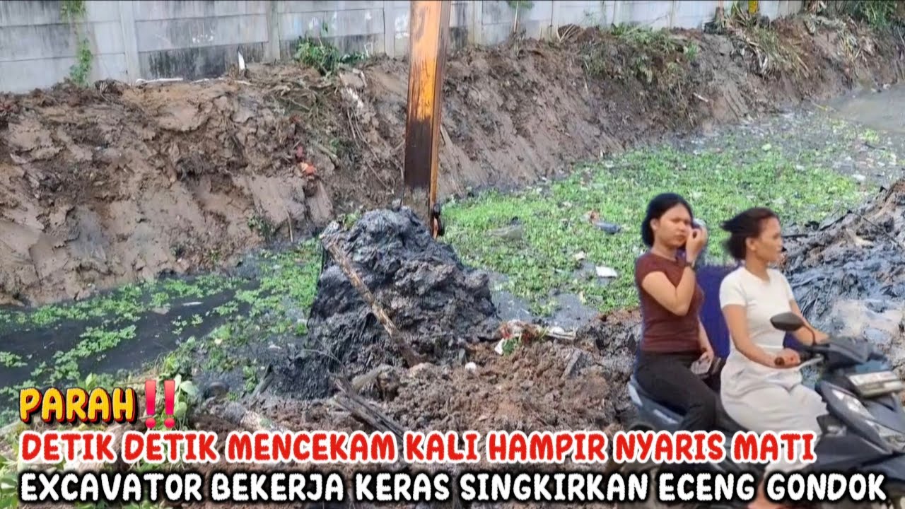 DETIK DETIK MENCEKAM KALI HAMPIR NYARIS MATI AKSI EXCAVATOR BEKERJA KERAS SINGKIRKAN ECENG GONDOK
