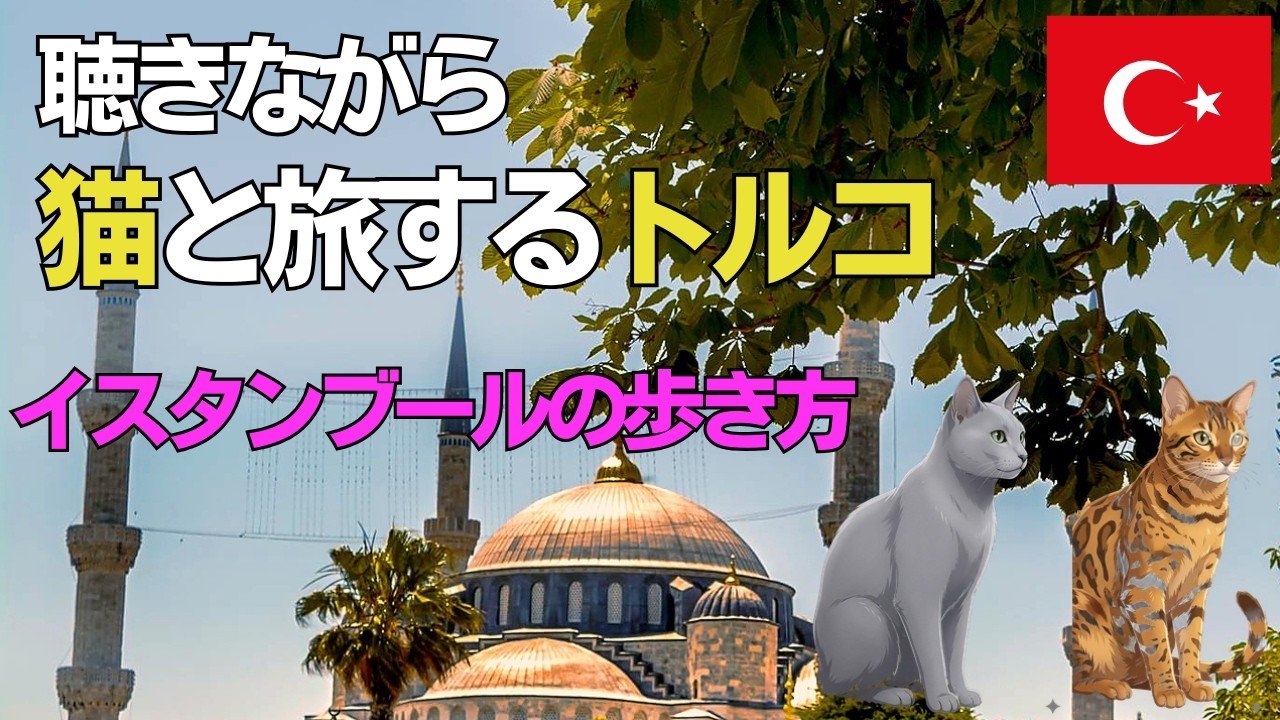 東西文明が交わる街を歩く アヤソフィア・グランドバザール・ボスポラス海峡｜聴きながら旅するトルコ