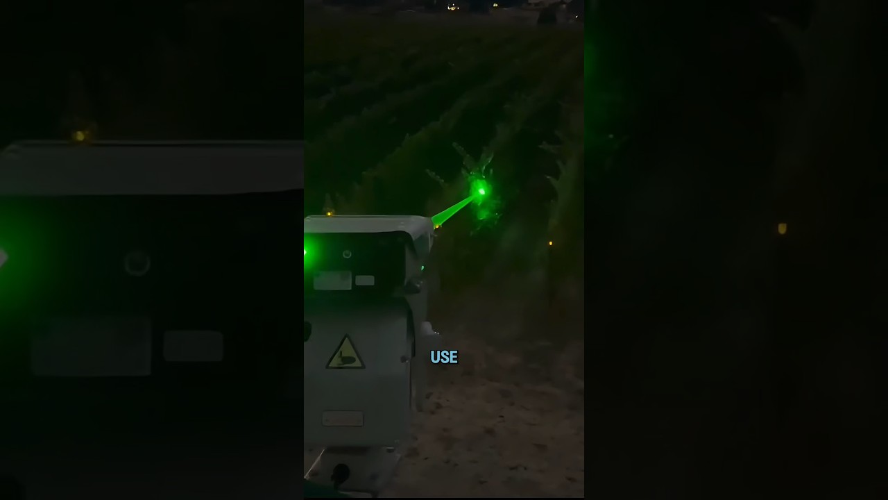 Automated Laser Bird Deterrent