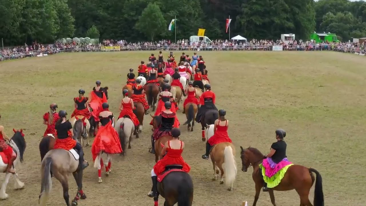 Grosse Reitquadrille 44. Wenigenaumaer Ponyshow