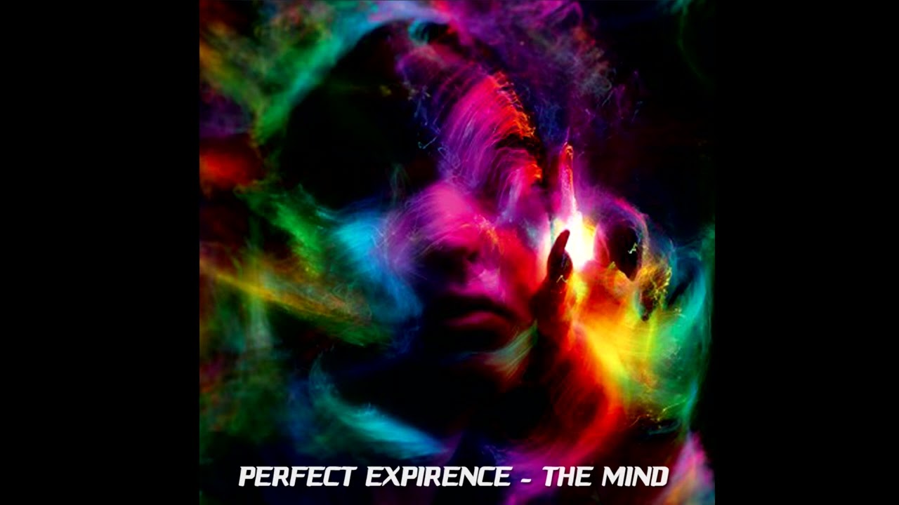 Perfect Experience - The Mind
