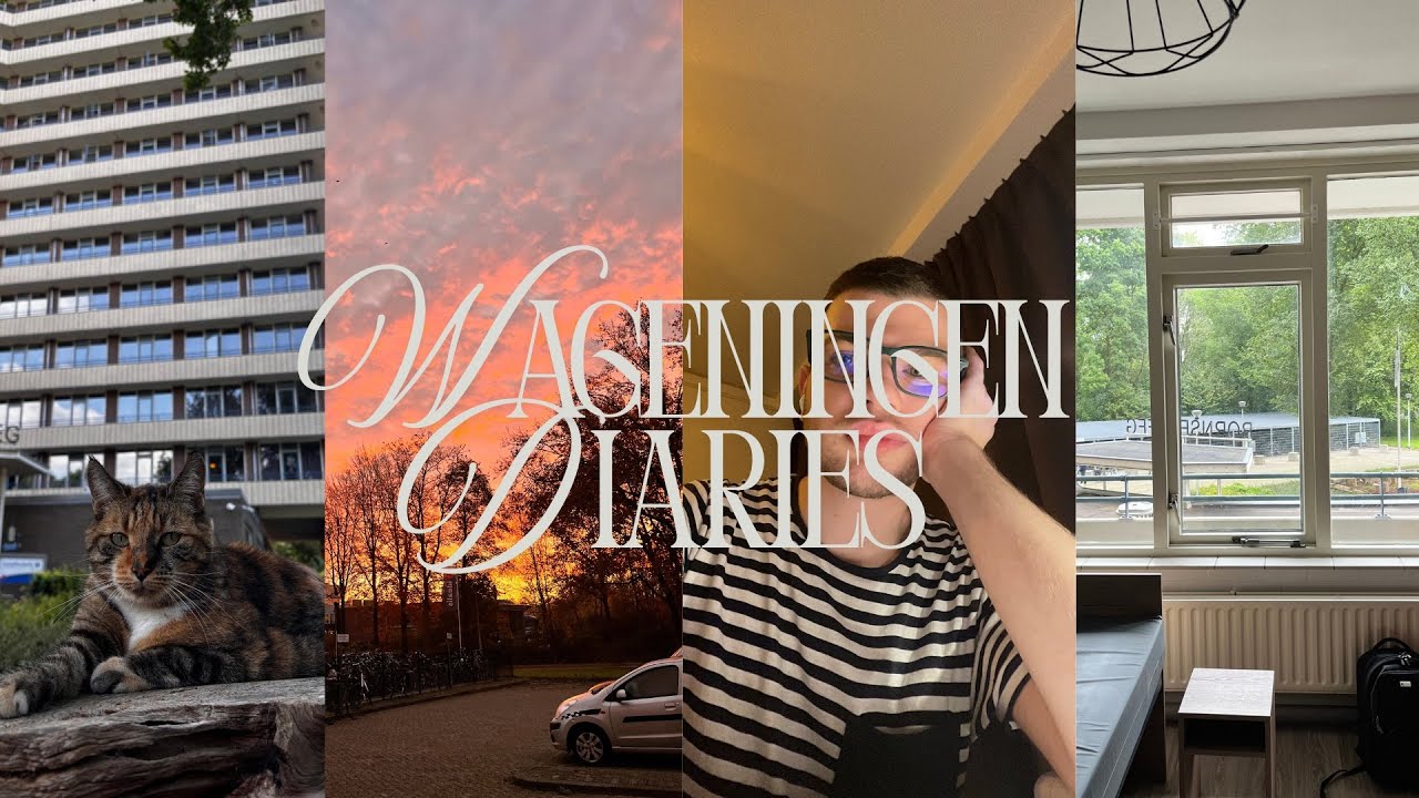 My Self-Contained Room Tour in Bornsesteeg @ Wageningen University 💌 #wageningen