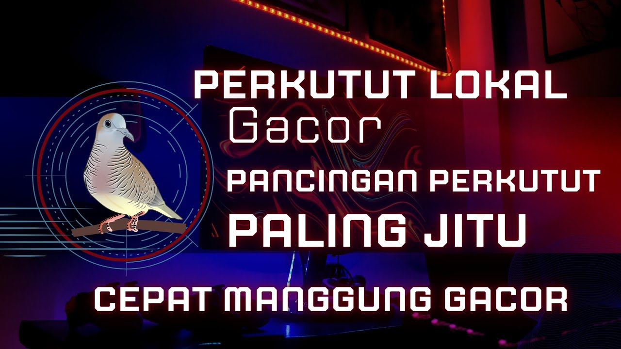 PERKUTUT LOKAL GACOR PANCINGAN PALING JITU
