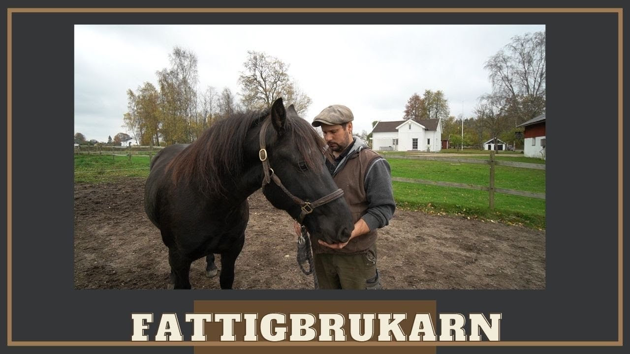 Kanske den perfekta älgsteken?