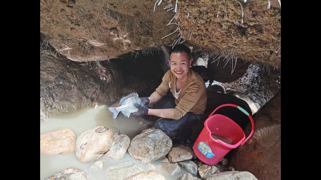 今天这水坑收获太劲爆了，小明抓鱼全程高能，抓到涨潮都舍不得走