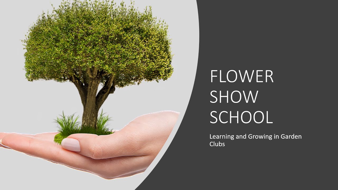 Let's Join a Flower Show School 2023