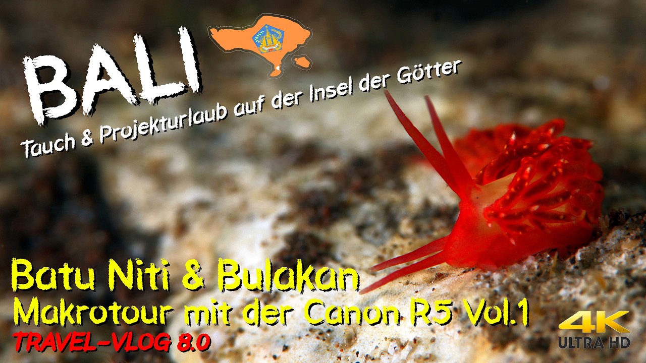 Tauchen auf BALI - Batu Niti & Bulakan 