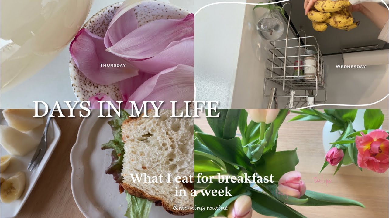 朝の日常と作って食べたもの1週間｜パン好きの朝食｜平凡な毎日｜果物と花が好き｜morning routine｜VLOG