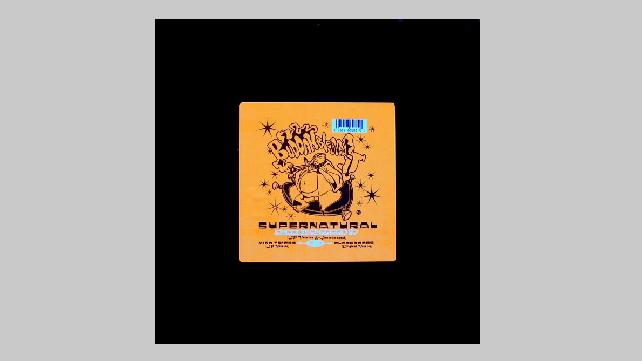 Supernatural - Mind Tricks (LP Version) - 1995 EastWest Records - KRS-One - 12
