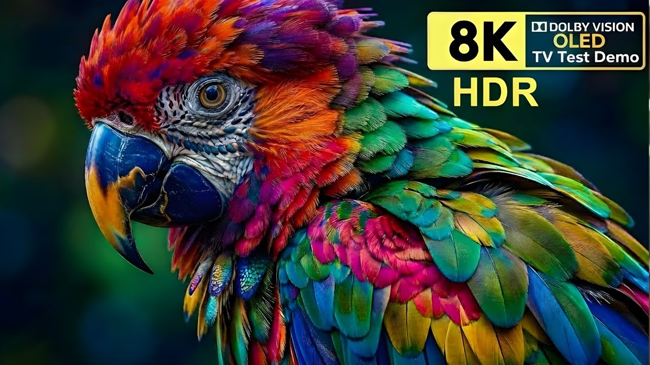 Beautiful Oled Test Demo || 16K HDR 120 Fps Dolby Vision (8k/4k Video TV)