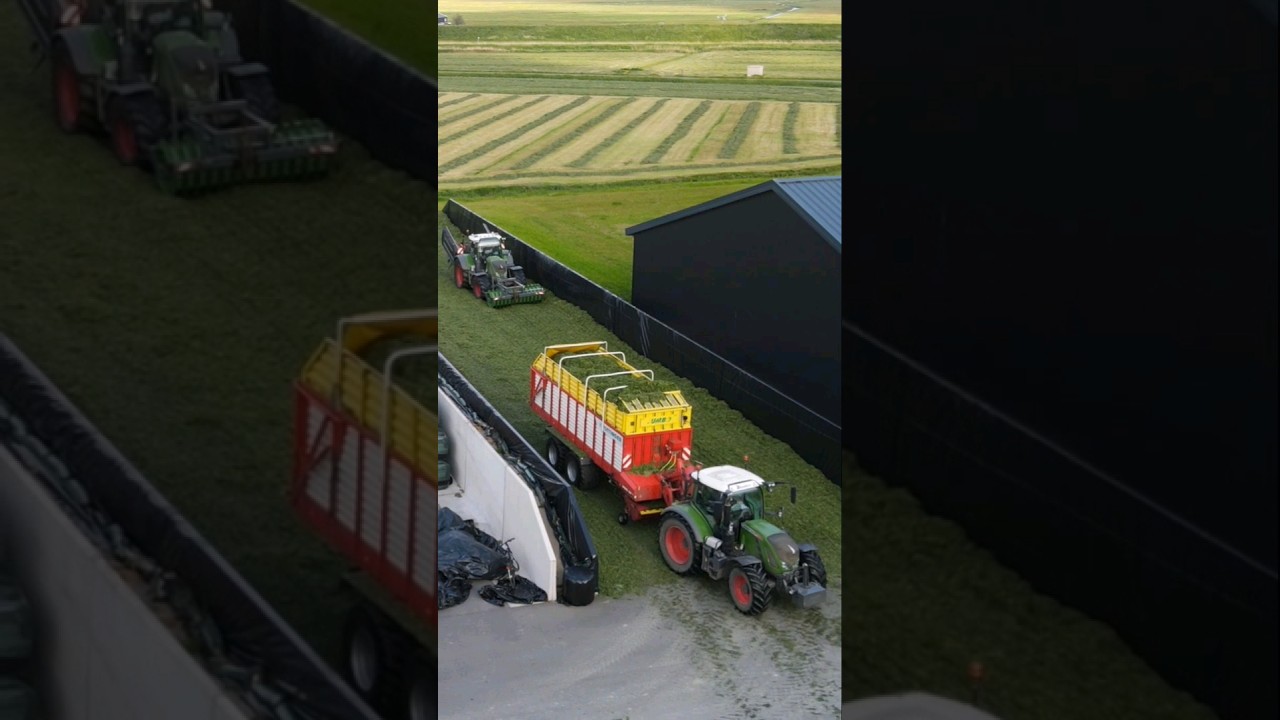 Grass Silage 2023🇳🇱🌱 #shorts #fendt #p&ouml;ttinger