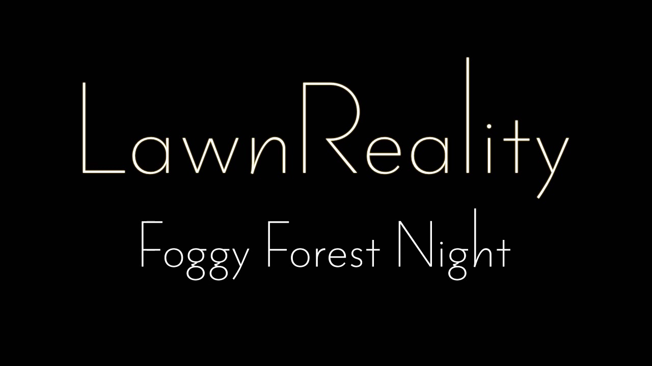 LawnReality - Original Music - Foggy Forest Night