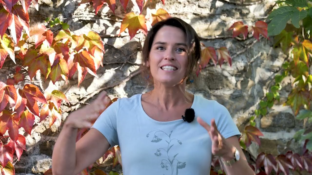 Les avantages de la Vigne Vierge 🌱