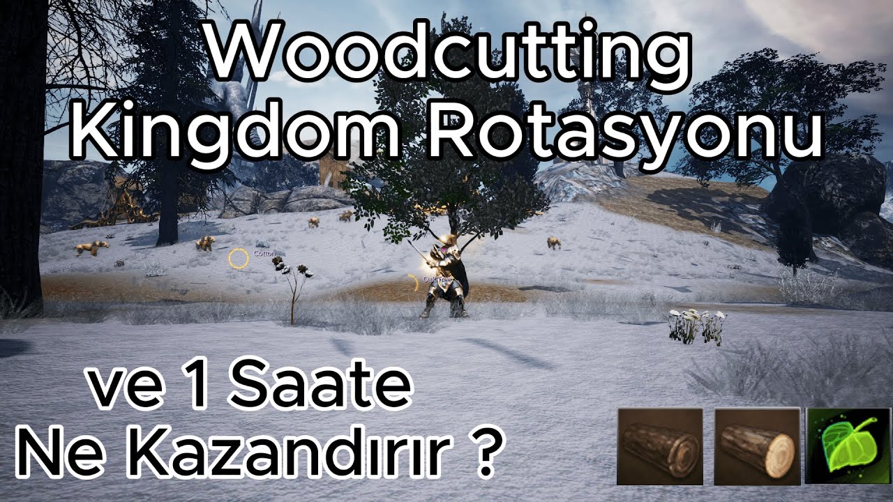 Woodcutting Kingdom Rotasyonu ve / 1 Saatte Ne Kazandırır ? Rise Online #riseonline