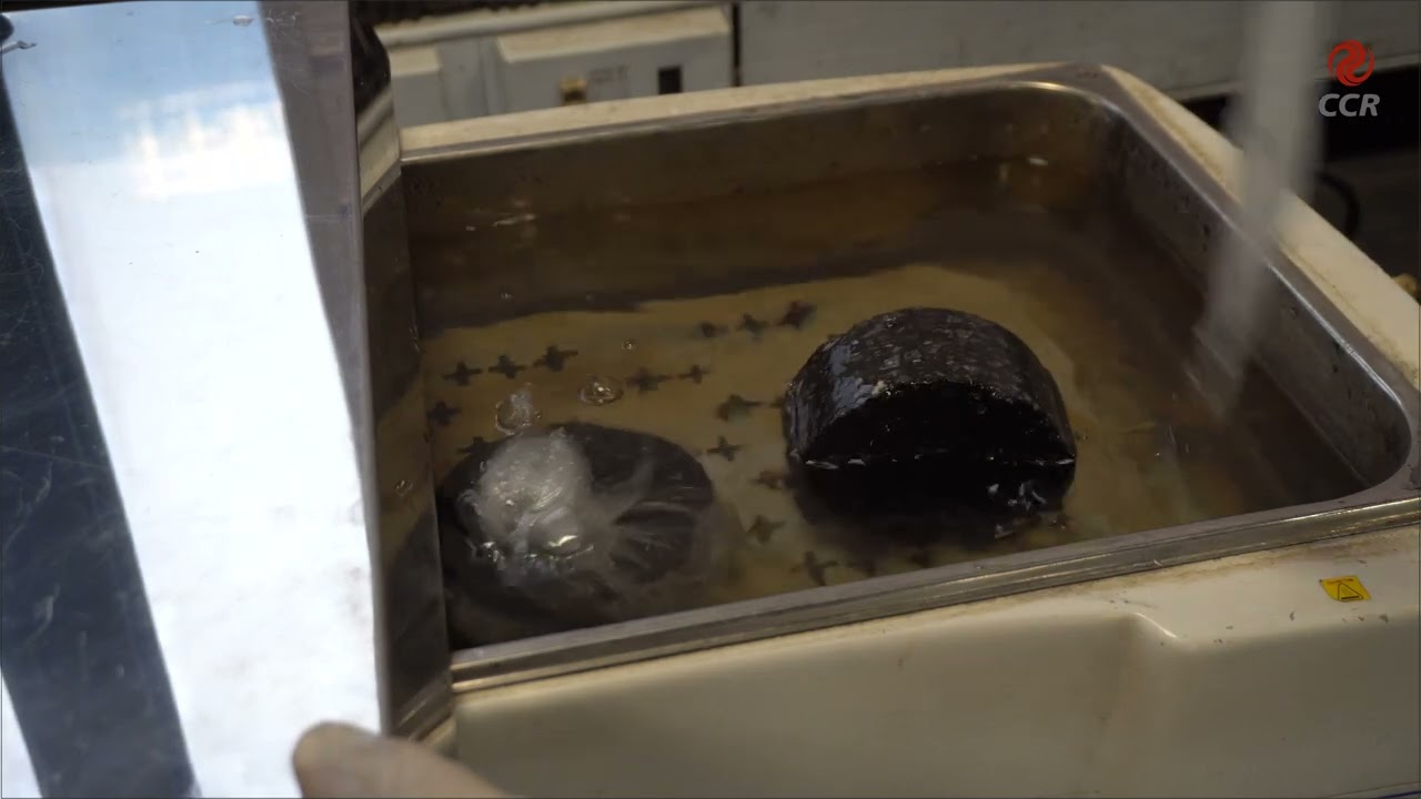 Resistência aos Danos por Umidade Induzida de Misturas Asfálticas a Quente Extraídas de Pista