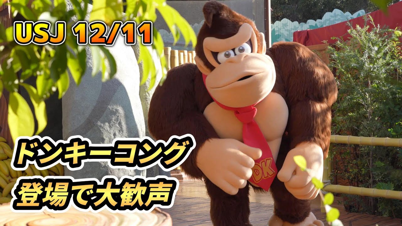 【USJ】ドンキーコング登場シーンで大歓声　Donkey Kong is here！【12月11日9時30分】Universal Studios Japan