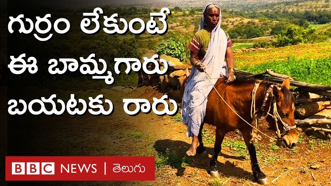 Horse Riding: ఈ 70 ఏళ్ల బామ్మగారు గుర్రంపై వస్తుంటే జనం 'ఝాన్సీరాణి' వస్తోంది అంటారు BBC Telugu