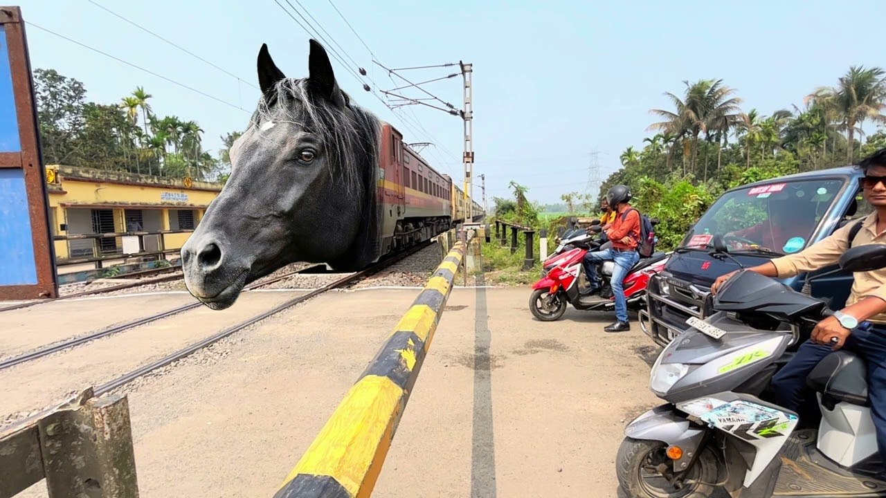 Indian high speed horse train intercity express, and the local train level crossing seen ￼￼￼￼￼￼￼