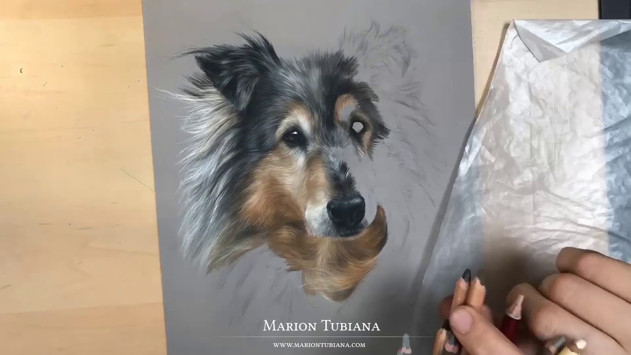 Chouchen - Pastel by Marion Tubiana