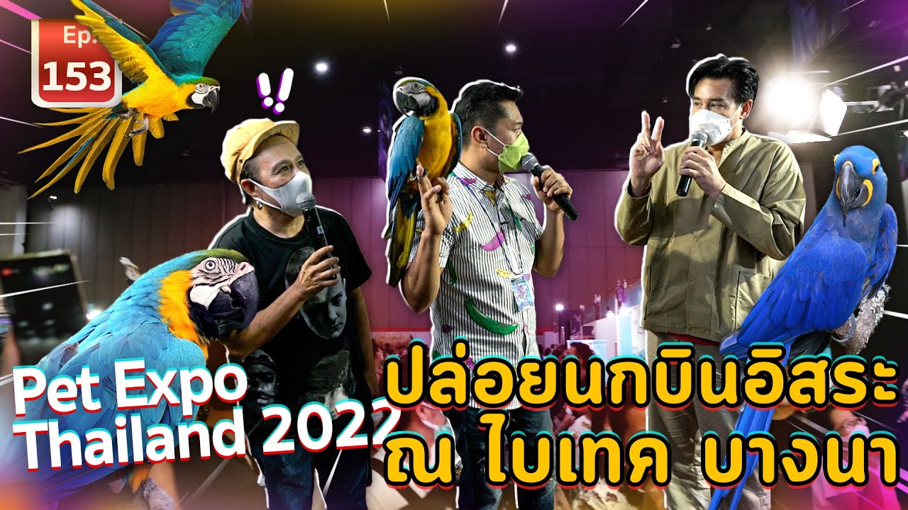 Pet Expo Thailand 2022 ปล่อยนกบินอิสระ ณ ไบเทค บางนา - เพื่อนรักสัตว์เอ้ย EP.153
