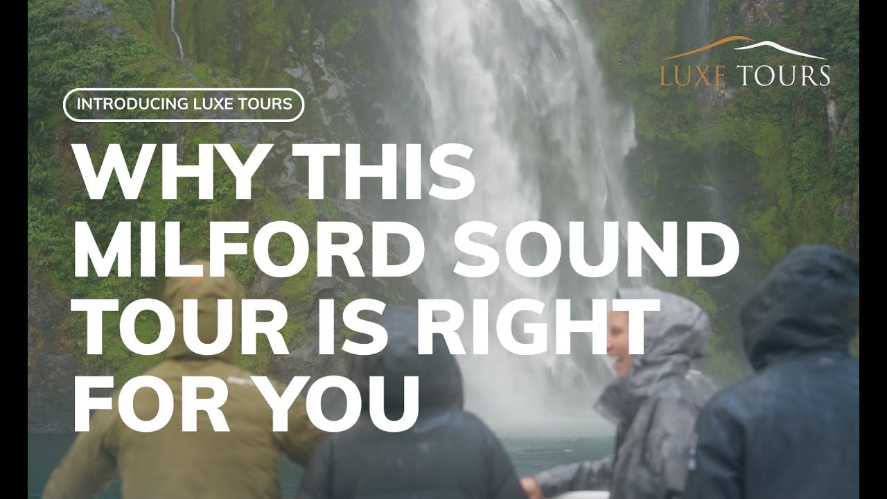 Why This 5-Star Milford Sound Tour Is Right for You
