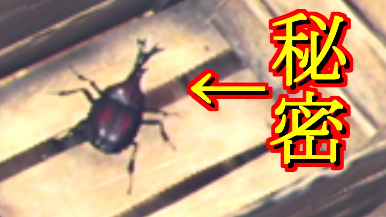 【MHW】開発が隠した、シリーズ恒例の隠し要素『カブトムシ』