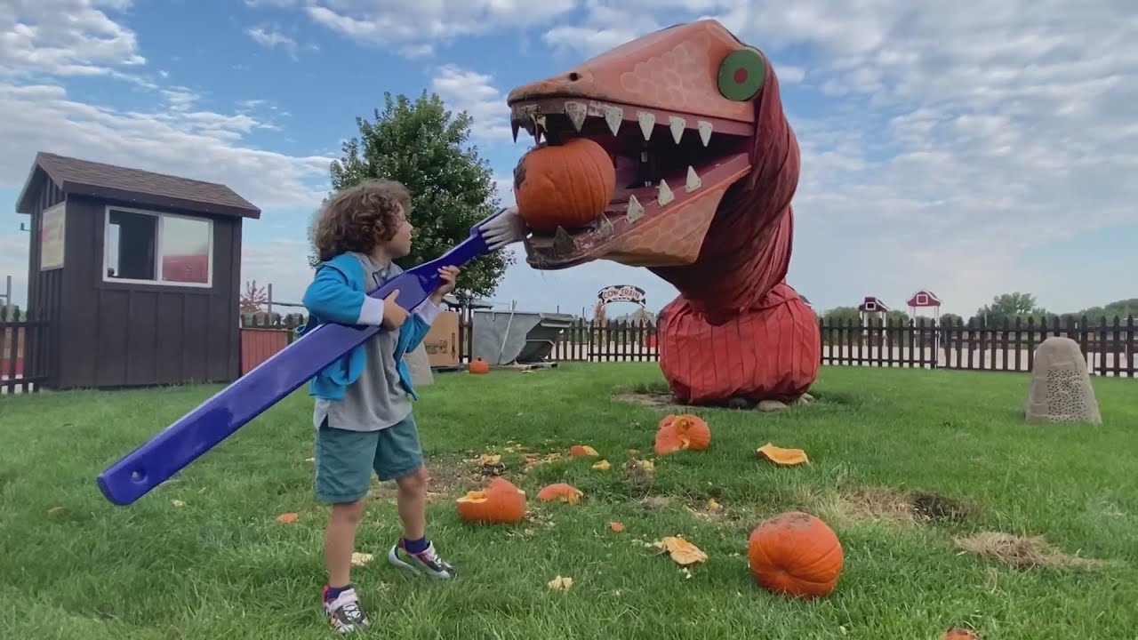 Weekend Break: Goebbert's Pumpkin Farm