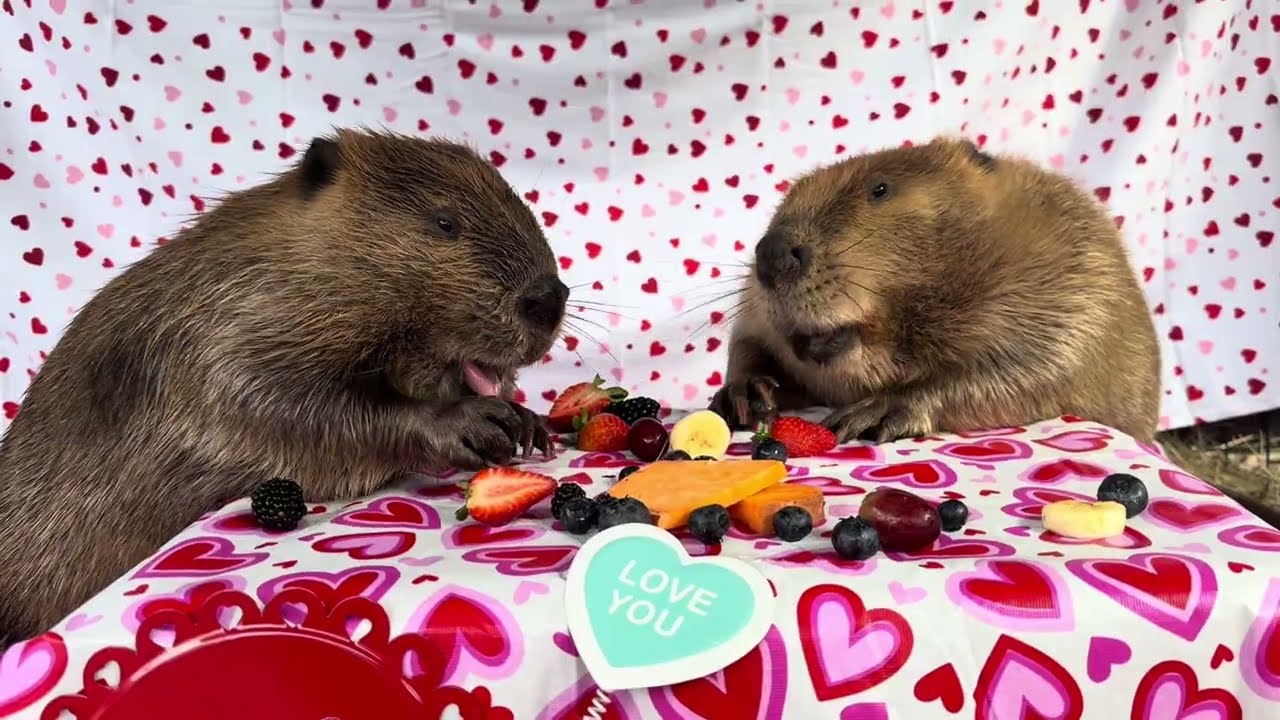 Getting ready for Valentines Day!