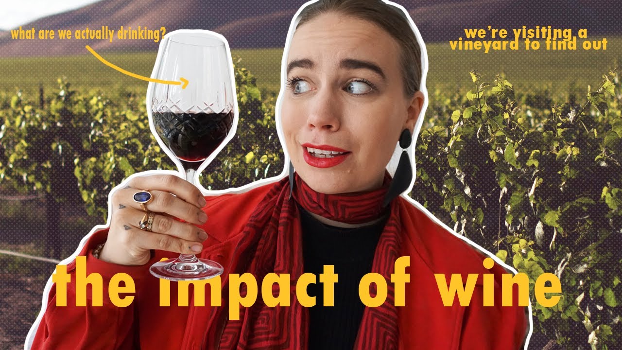 SHOULD WE STOP DRINKING WINE ? //impact analysis and fieldtrip to a regenerative vineyard
