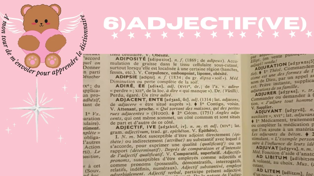 Dictionnaire français : 69ème vidéo