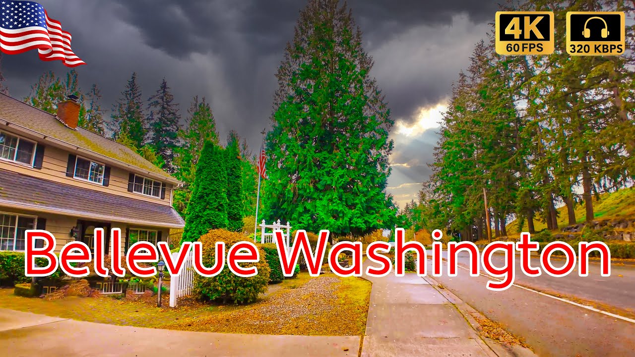 Relaxing Walk in Bellevue Neighborhoods | Bellevue Fall Walking | Washington autumn 2024 | 4K Video