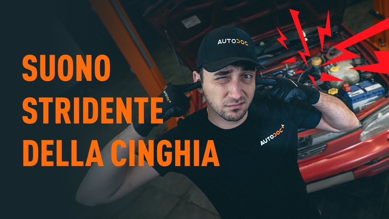Cosa fare se la cinghia stride | I consigli di AUTODOC