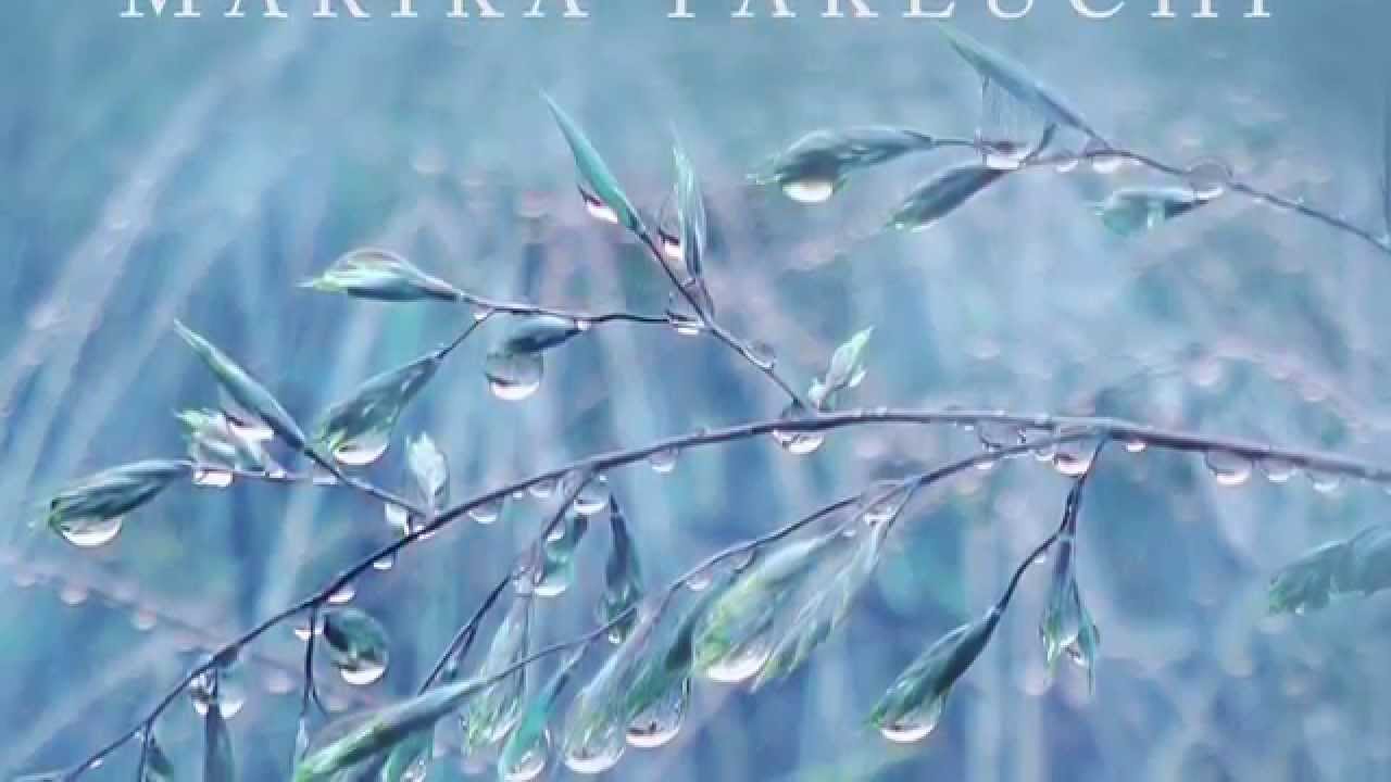 Rain Stories Album Teaser