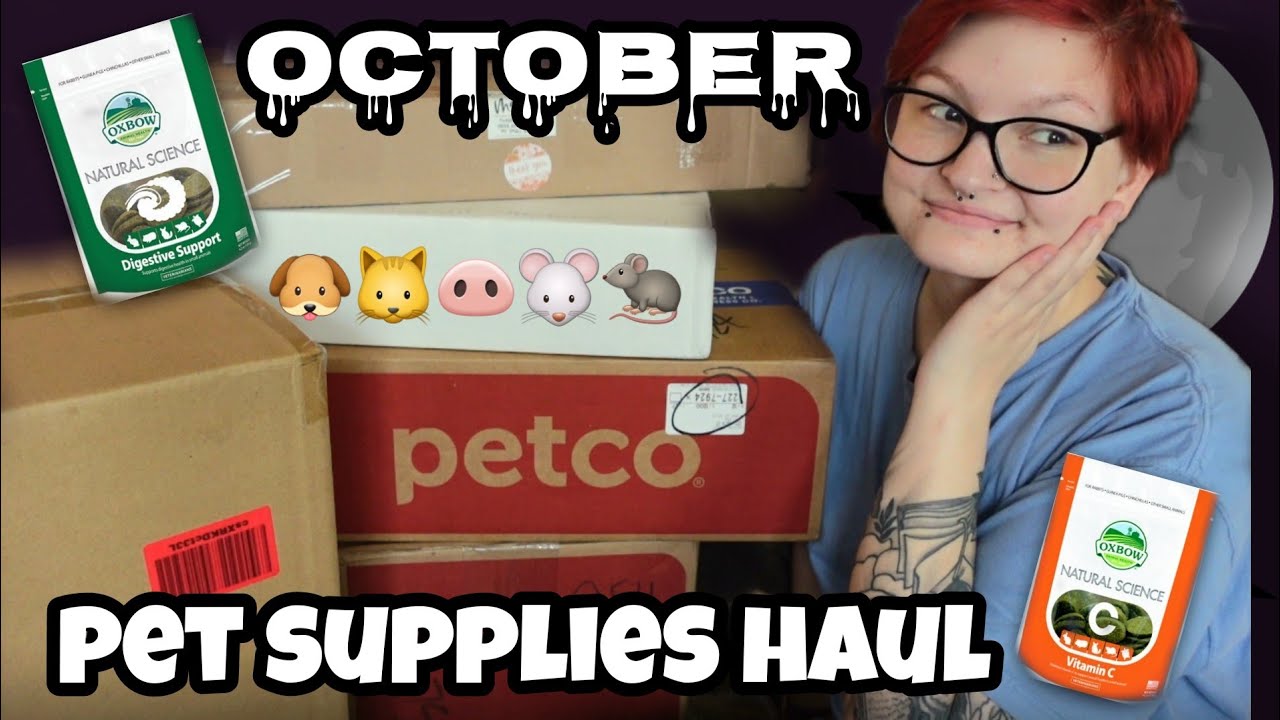 OCTOBER PET SUPPLIES HAUL👻🐾