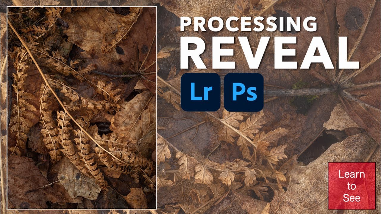 Processing Reveal | Adobe Photoshop & Lightroom