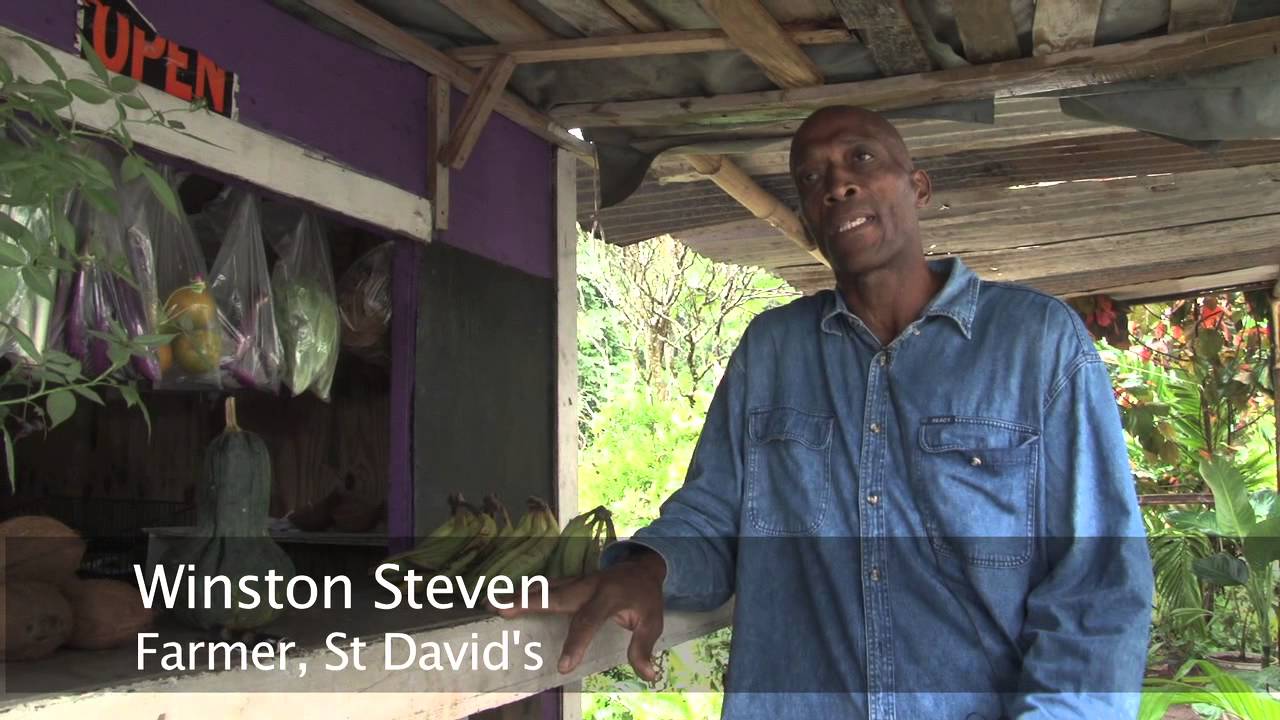 A brighter future for Caribbean farmers