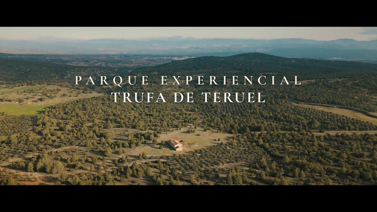 Parque Experiencial - Trufa de Teruel (ESPAÑOL)
