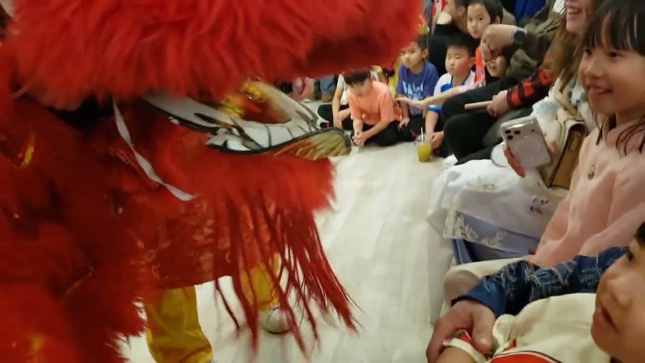 Vien Quang - 2026 dragon dance (close up view)