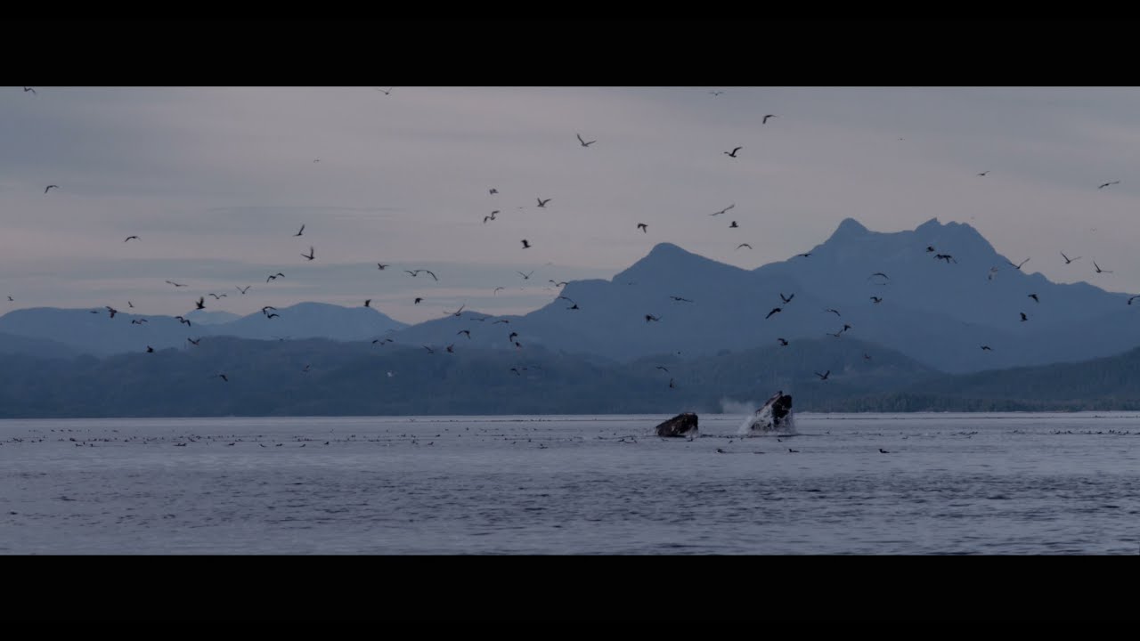 A Letter From Your Future Self - From the B.C. Coast