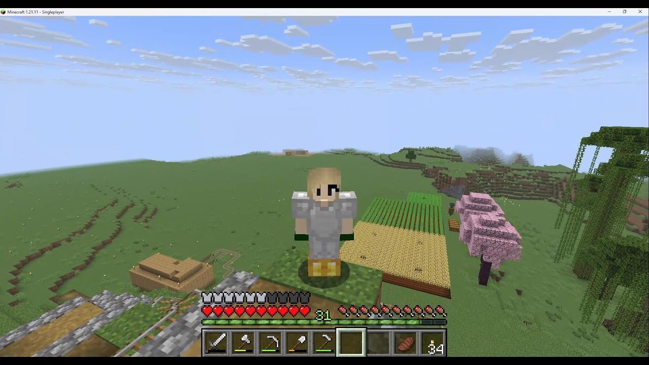 Minecraft Survival Ep 7 - Pumpkin, melon, sugar cane and cactus farm