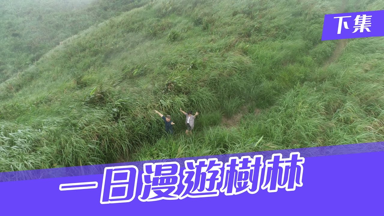 【新北好好玩】 探索樹林特色公園 芒草秘境一日小旅行(下集)