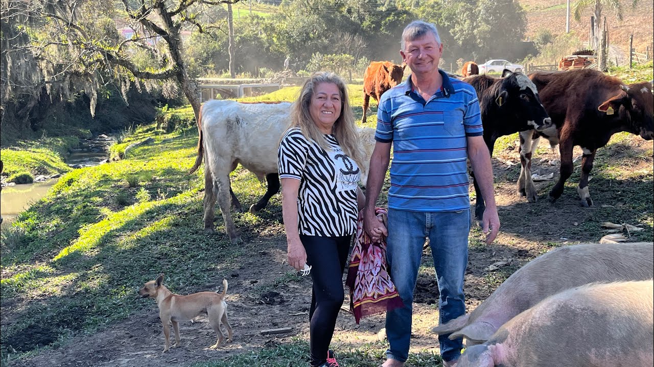 ROÇA DO ROGÉRIO-LIDA COM OS ANIMAIS UMA RIQUEZA ESSA SIMPLICIDADE DO SÍTIO