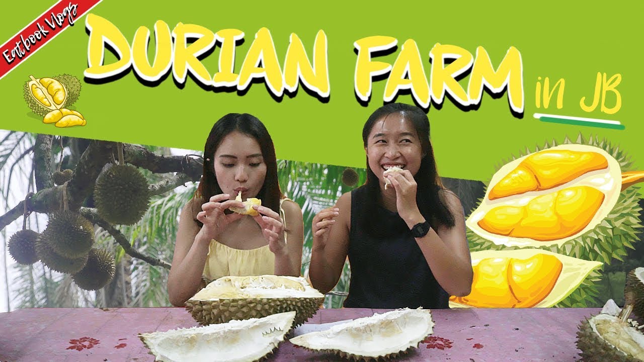 We visited a Durian Farm in JB and Tried 10 Durians | Eatbook Vlogs | EP 38